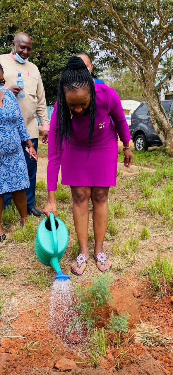A young volunteer planting a tree seedling in prepared soil